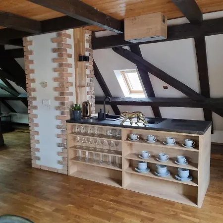Apartment Galerie Lucia 5 -loft Pilsen