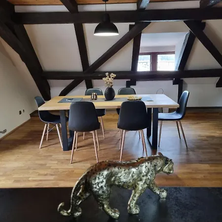 Galerie Lucia 5 -loft * 플젠