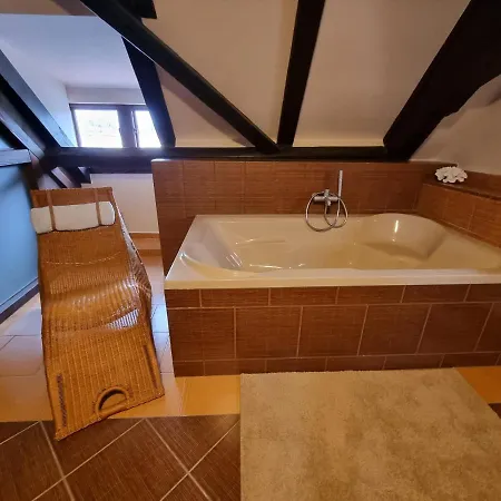 Apartment Galerie Lucia 5 -loft Pilsen