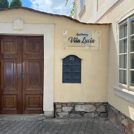 Galerie Lucia #5 - Mezotonový *
