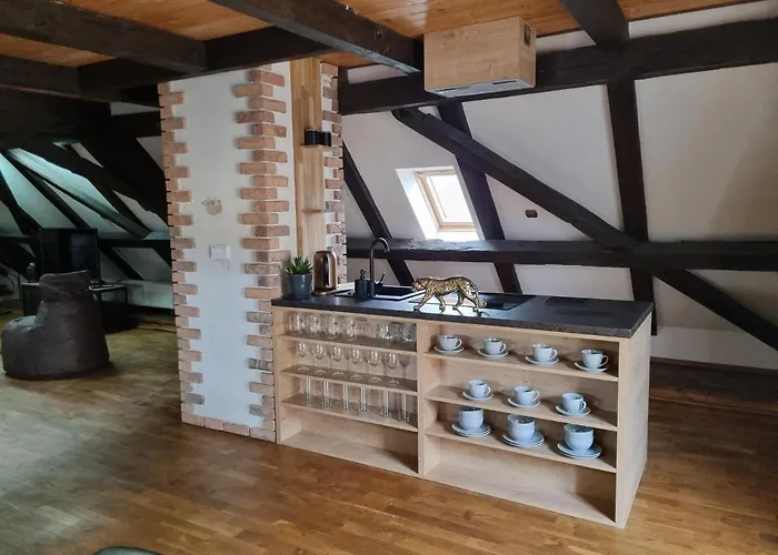 Apartment Galerie Lucia 5 -loft Pilsen