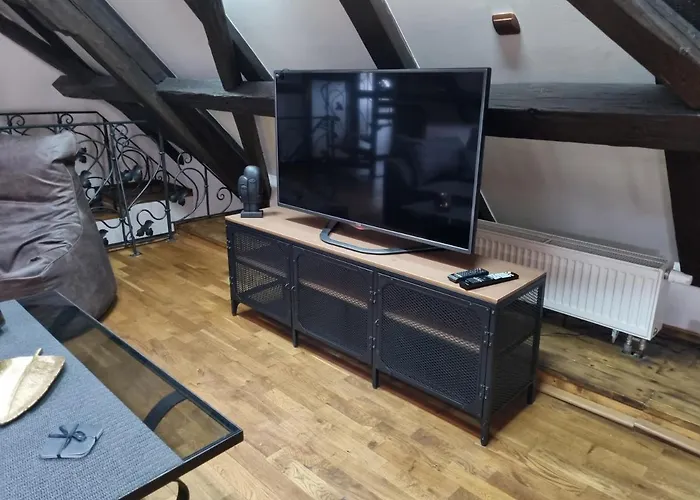 Galerie Lucia 5 -loft Apartment Pilsen