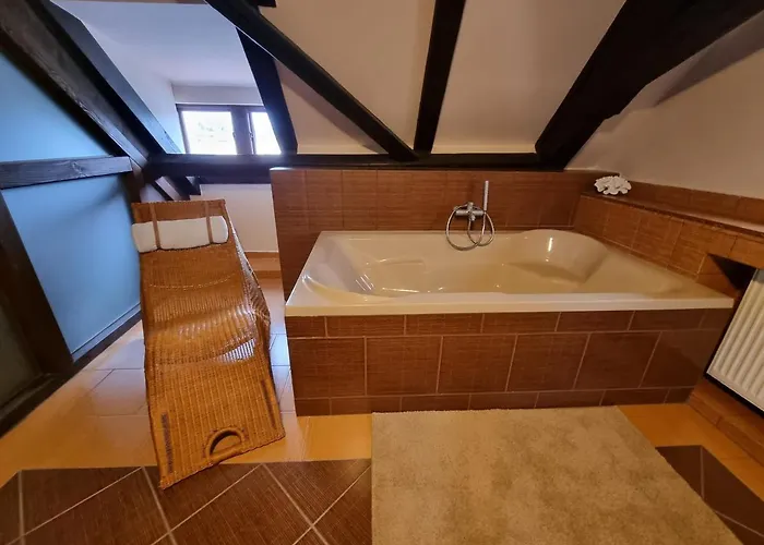 Apartment Galerie Lucia 5 -loft Pilsen