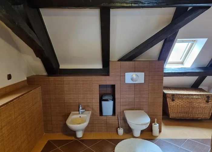 Apartment Galerie Lucia 5 -loft Pilsen